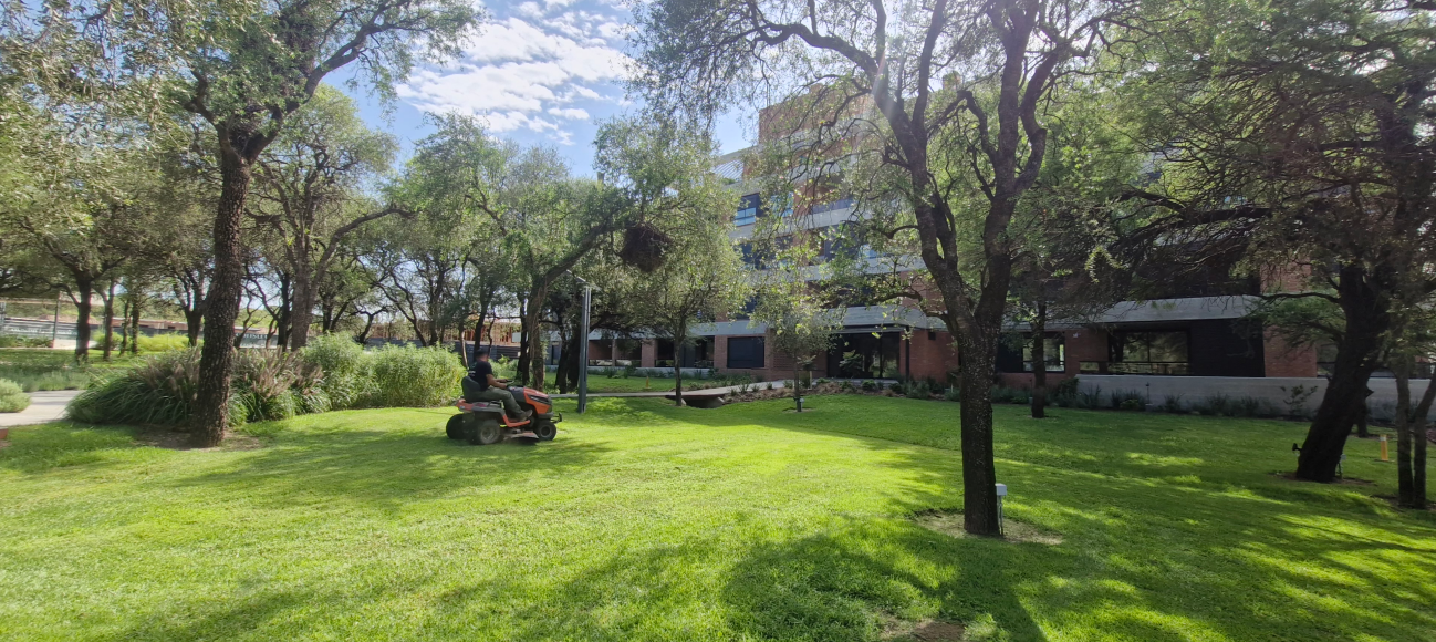 Dar Mas — servicios